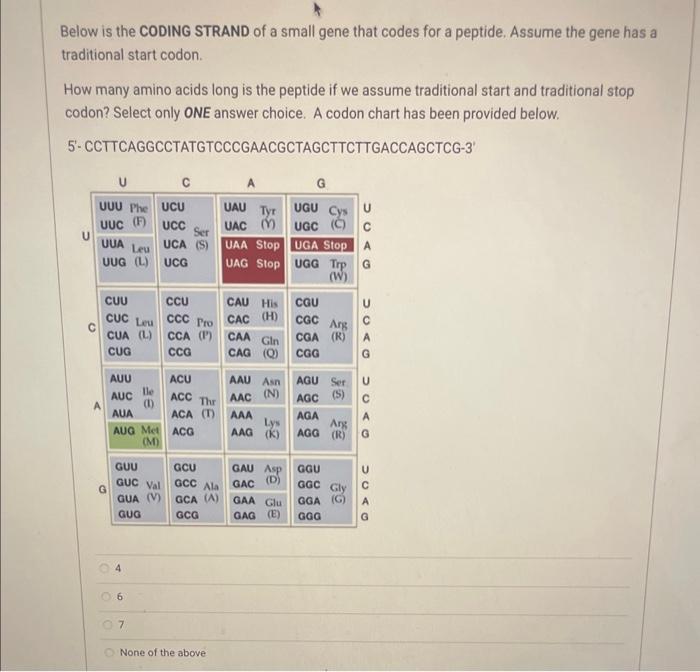 Solved below is the coding strand of a small gene that codes | Chegg.com
