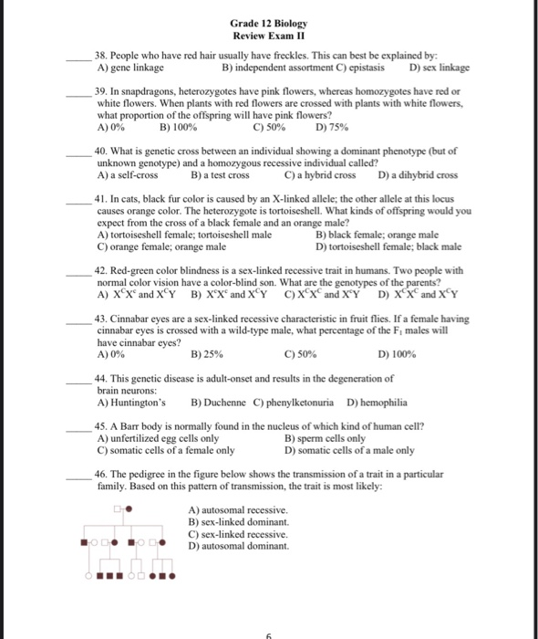 Solved Grade 12 Biology Review Exam II 1. What is the | Chegg.com