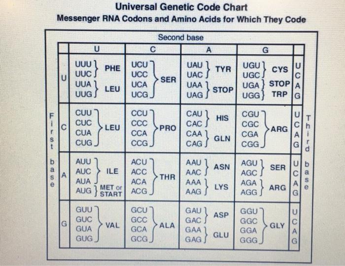 Solved which amino acid sequence will be generated based on | Chegg.com