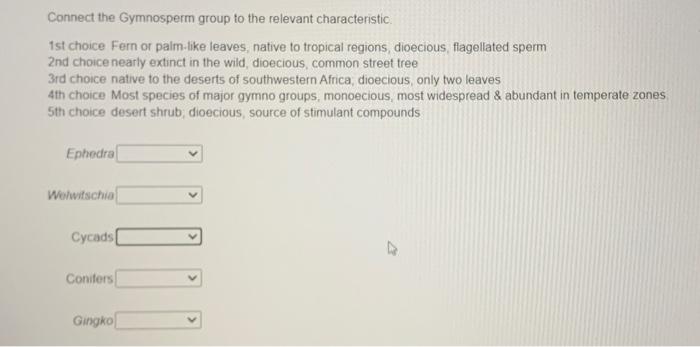 Solved Connect the Gymnosperm group to the relevant | Chegg.com