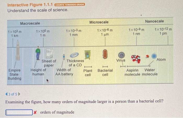 Solved Interactive Figure 1.1.1 COUNTS TOWARDS GRADE | Chegg.com