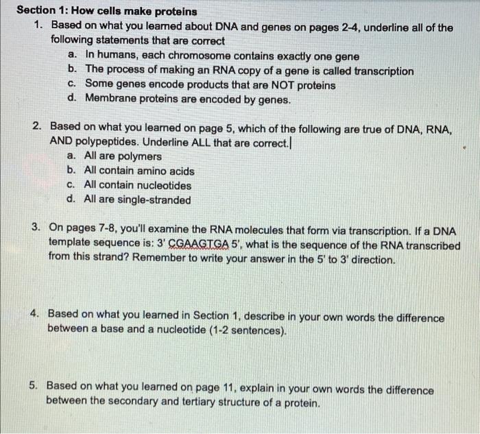 Solved Section 1 How cells make proteins 1. Based on what