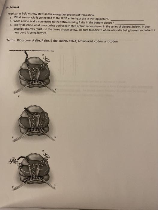 Solved Problem 4 The pictures below show steps in the | Chegg.com