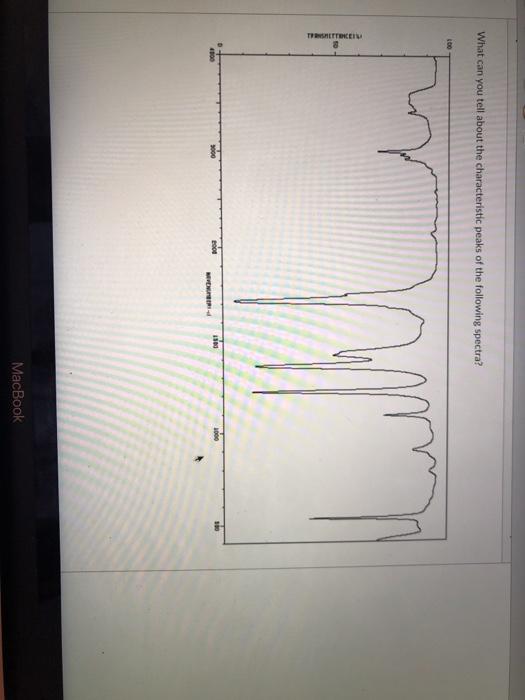 Solved What can you tell about the characteristic peaks of | Chegg.com