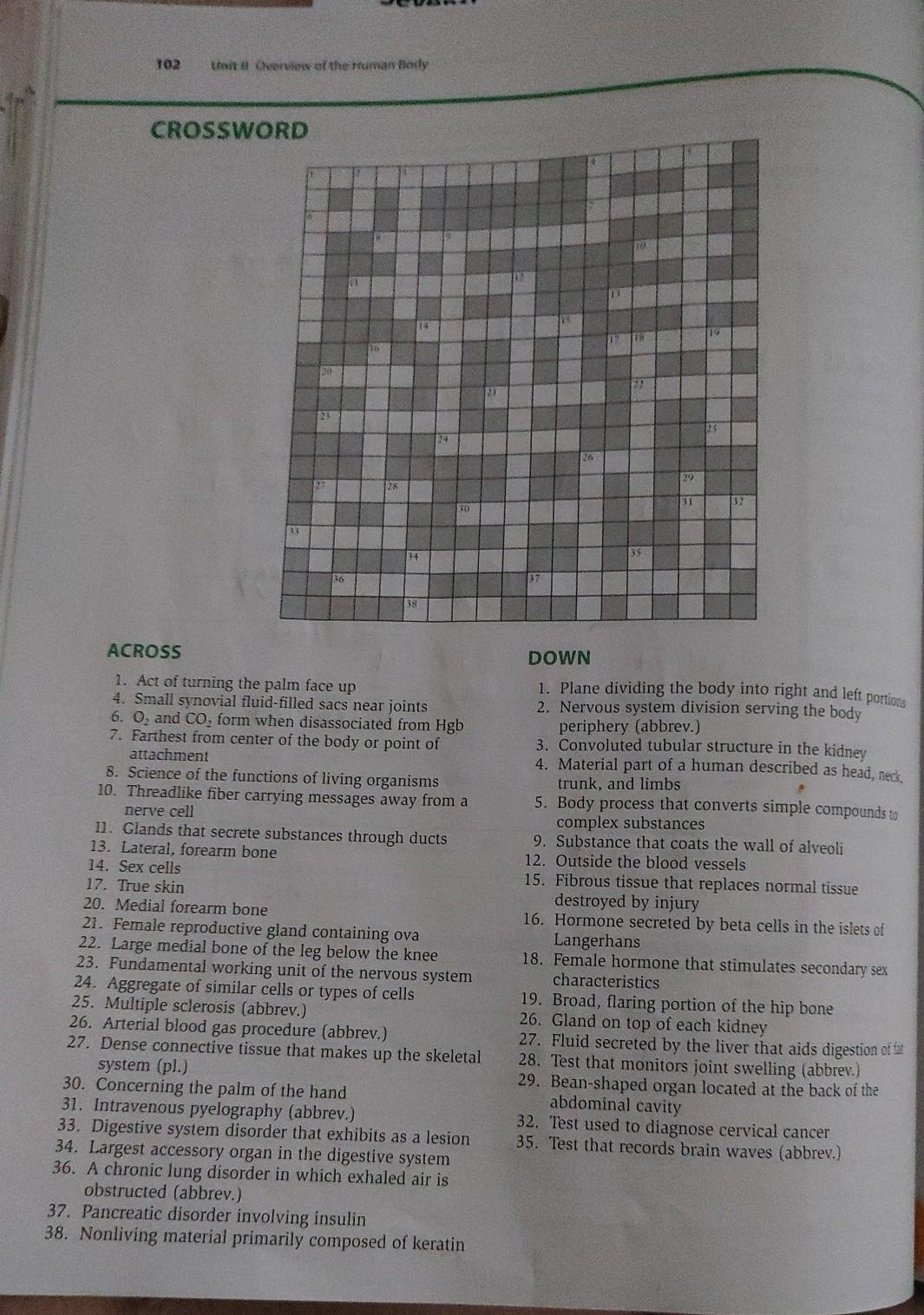 Palm fiber clearance crossword