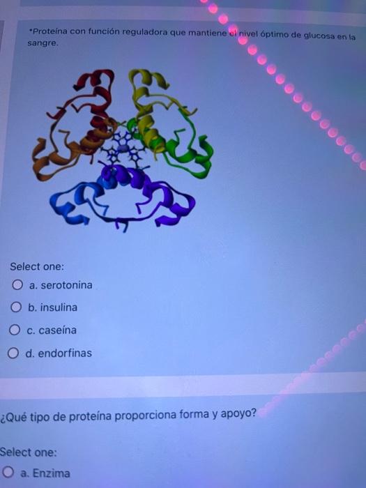 - Proteina con función reguladora que mantiene el nivel óptimo de glucosa en la sangre. Select one: a. serotonina b. insulin