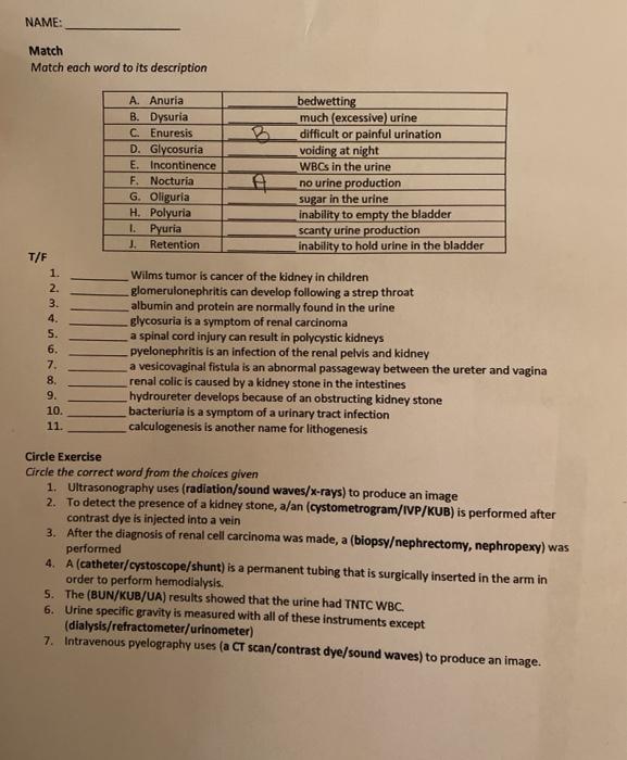 NAME: Match Match each word to its description A. Anuria B. Dysuria C Enuresis D. Glycosuria E. Incontinence F. Nocturia G. O