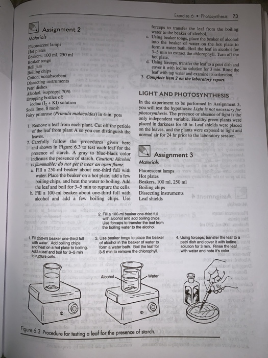 Solved Laboratory Report 6 de texte PHOTOSYNTHESIS Vo