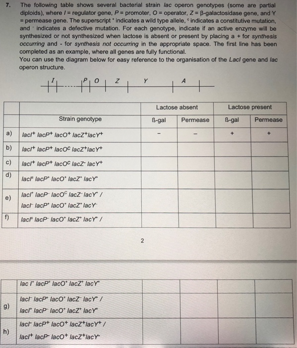 Solved 7 The Following Table Shows Several Bacterial Str Chegg Com