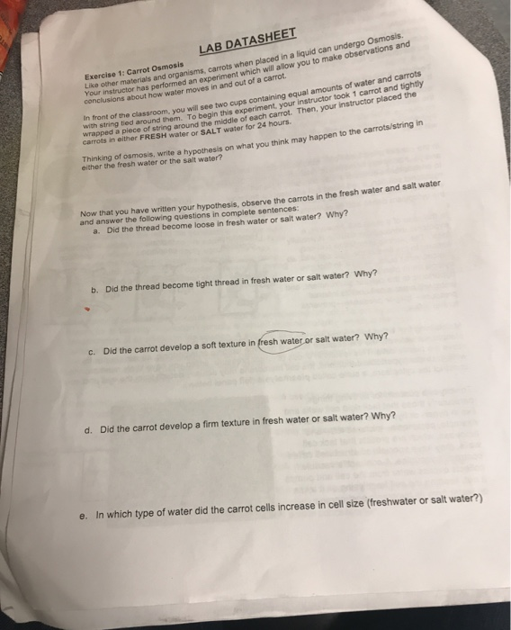 Solved LAB DATASHEET Exercise 1 Carrot Osmosis ke other