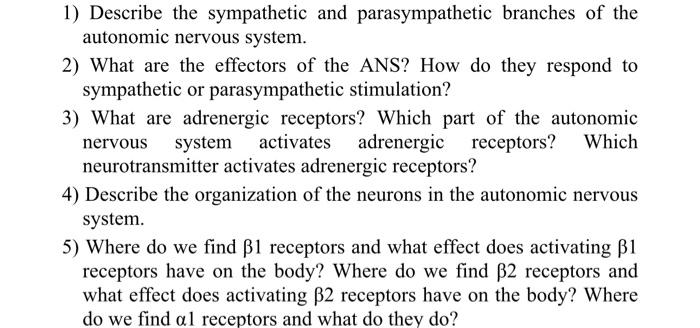 Solved 1) Describe the sympathetic and parasympathetic | Chegg.com