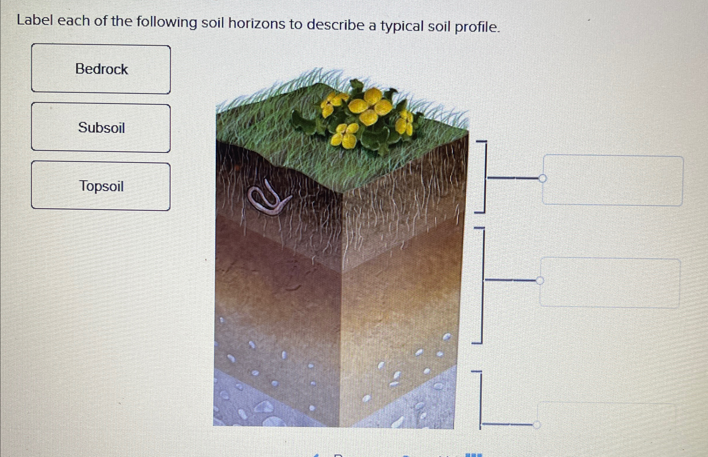 Solved Label each of the following soil horizons to describe | Chegg.com