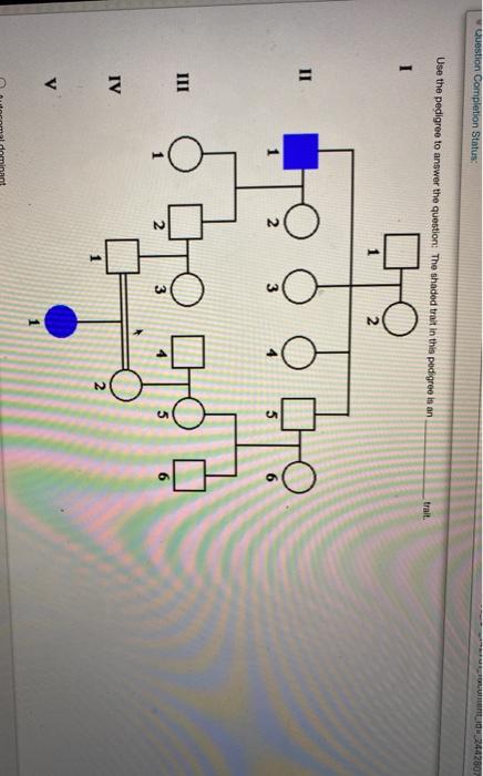 Solved Use the following pedigree to answer the question: | Chegg.com