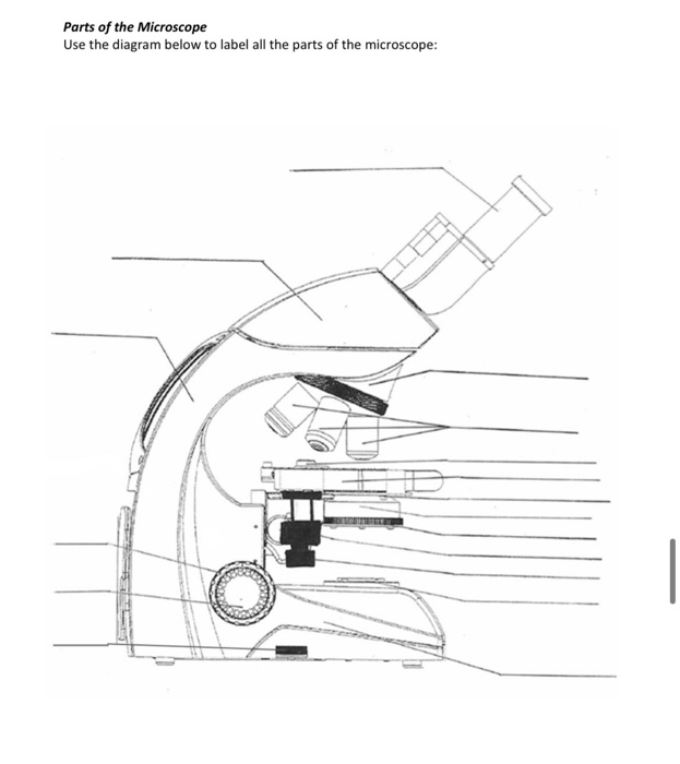 Solved Parts of the Microscope Use the diagram below to | Chegg.com