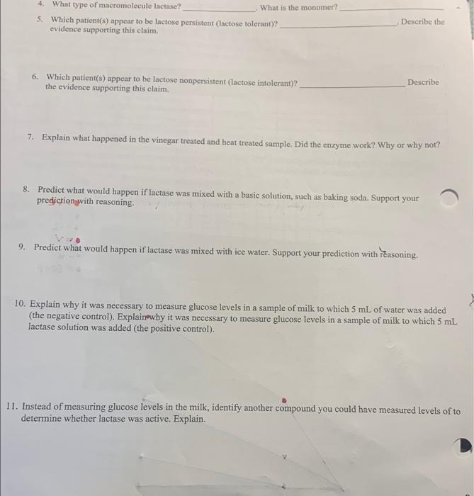 Solved 4. What type of macromolecule lactase? What is the | Chegg.com