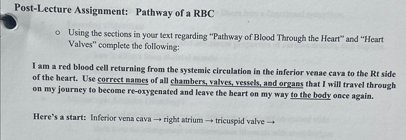 Solved Post-Lecture Assignment: Pathway of a RBCUsing the | Chegg.com