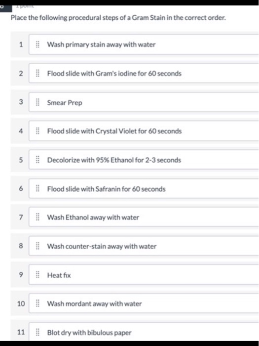 Solved Place the following procedural steps of a Gram Stain | Chegg.com