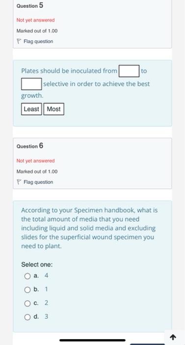 Solved Why is the media side of the petri dish labelled | Chegg.com