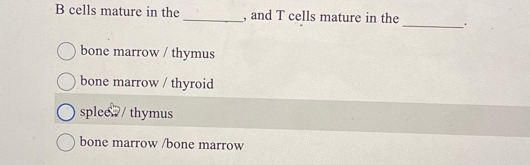both b and t cells mature in the bone marrow