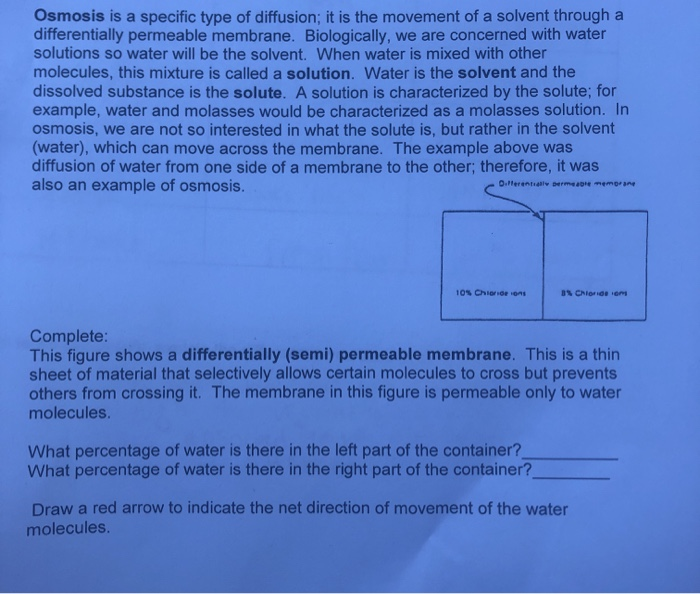 Solved Osmosis is a specific type of diffusion; it is the | Chegg.com