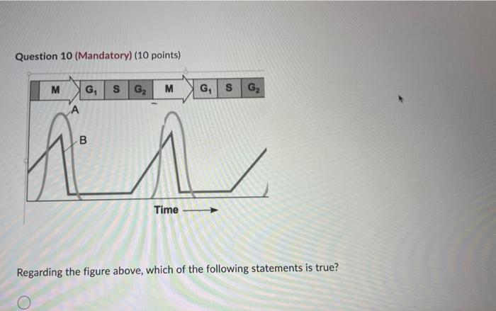 Solved Regarding the figure above, which of the following | Chegg.com