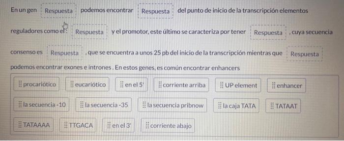 reguladores como el: Respuesta y y promotor, este último se caracteriza por tener Respuesta :, cuya secuencia consenso es Res