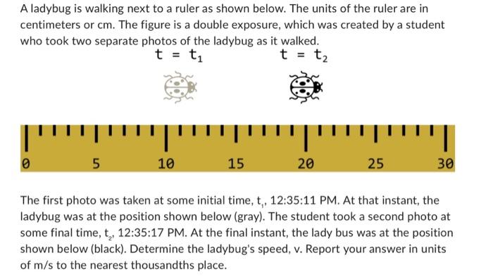 Solved A ladybug is walking next to a ruler as shown below. | Chegg.com