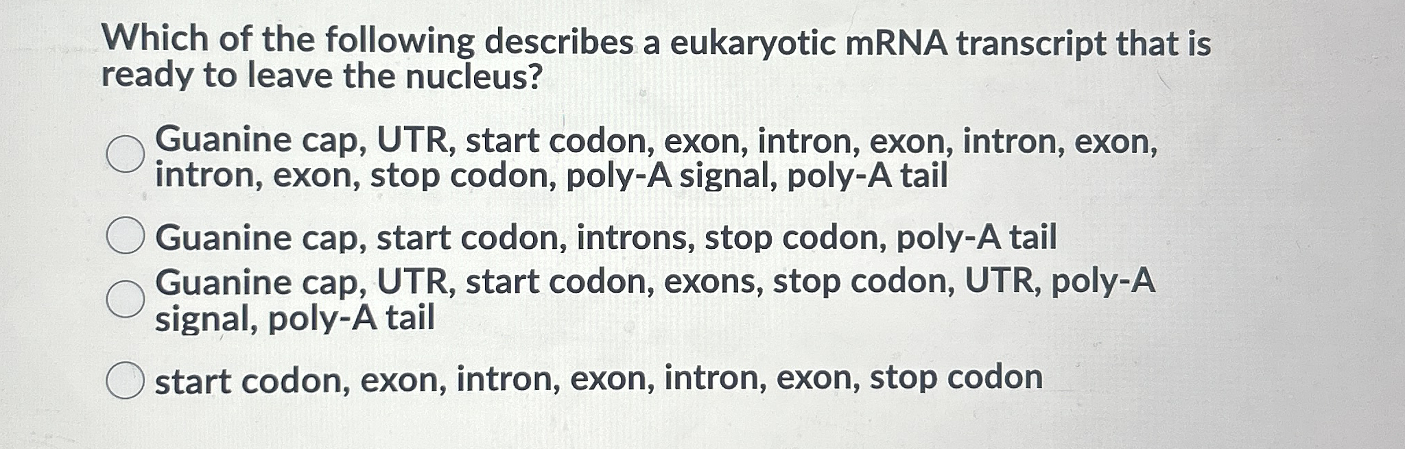 Solved Which of the following describes a eukaryotic mRNA | Chegg.com