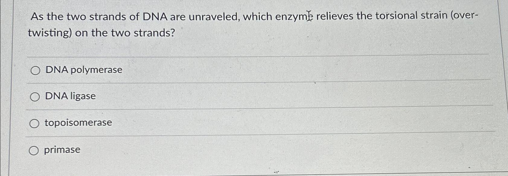 Solved As the two strands of DNA are unraveled, which enzyme | Chegg.com