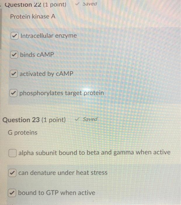 Solved Question 22 1 Point Saved Protein Kinase A