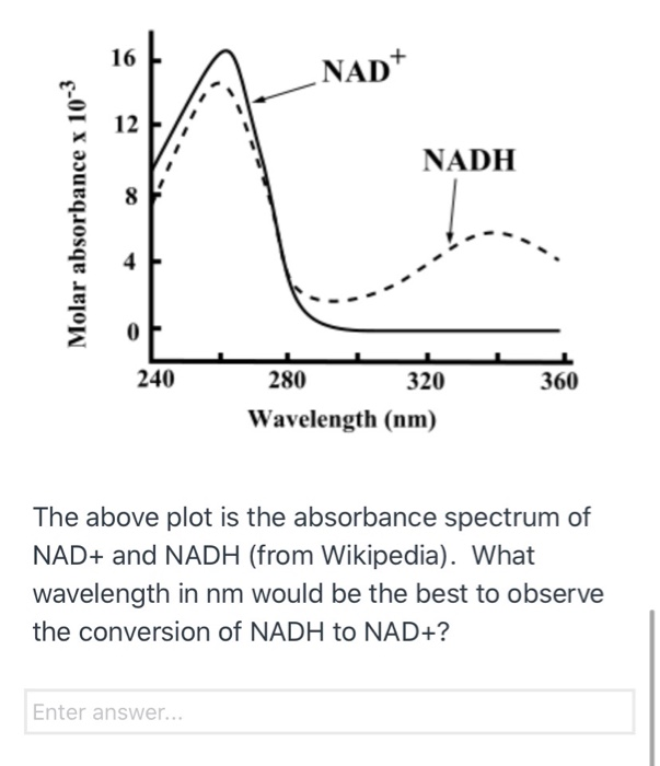 Solved Nad+ Nadh Molar Absorbance X 10-3 280 320 Wavelength | Chegg.com Solved Nad+ Nadh Molar Absorbance X 10-3 280 320 Wavelength | Chegg.com