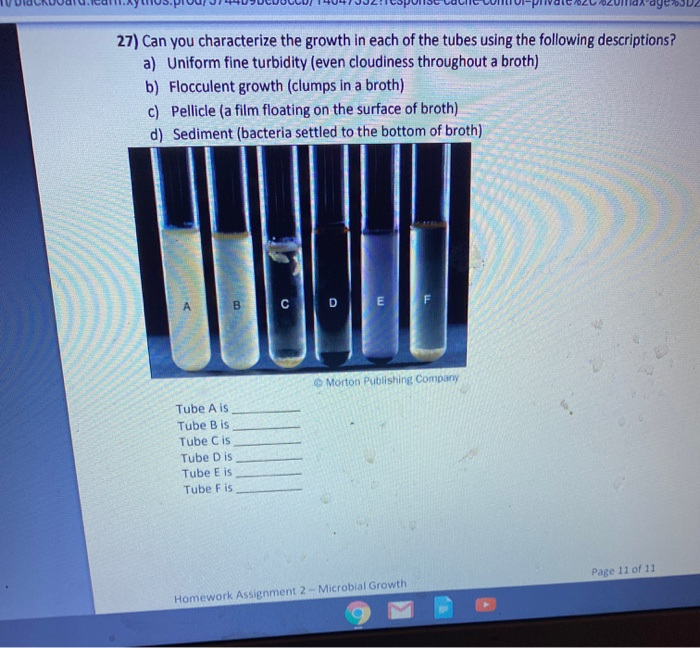Solved 27) Can you characterize the growth in each of the