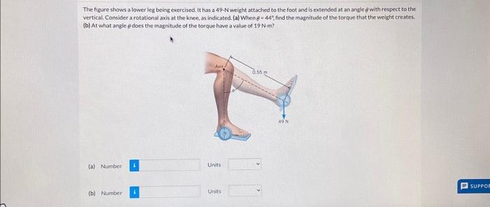 Solved The figure shows a lower leg being exercised. It has | Chegg.com