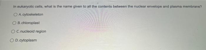In eukaryotic cells, what is the name given to all the contents between the nuclear envelope and plasma membrane?
A. cytoskel
