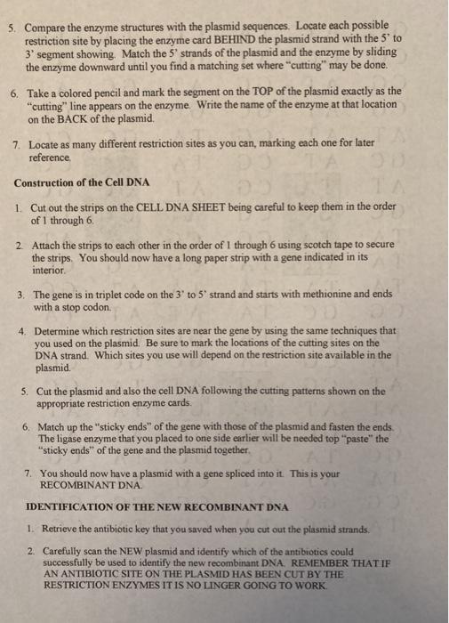 this activity is about modeling DNA. I'M