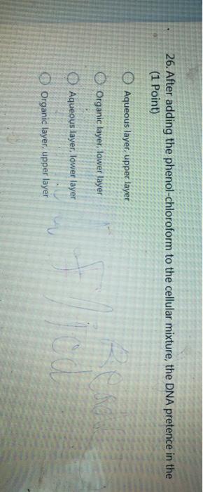 Solved 26. After adding the phenol-chloroform to the | Chegg.com