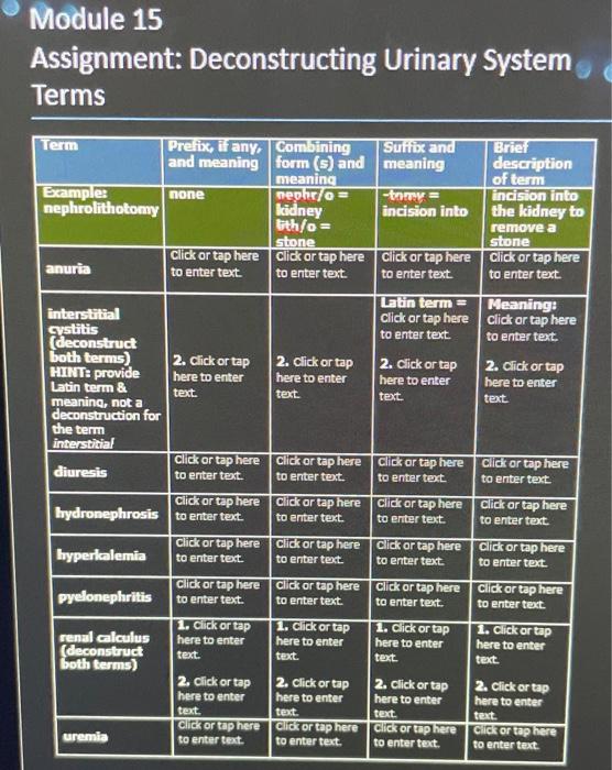 module 15 assignment deconstructing urinary system terms