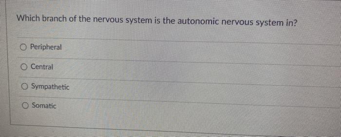 Solved Which branch of the nervous system is the autonomic | Chegg.com