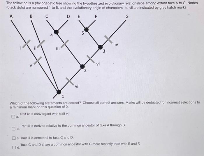 Solved The Following Is A Phylogenetic Tree Showing The | Chegg.com