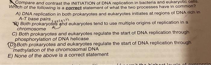 Solved How do most DNA mismatch repair enzymes in eukaryotic | Chegg.com