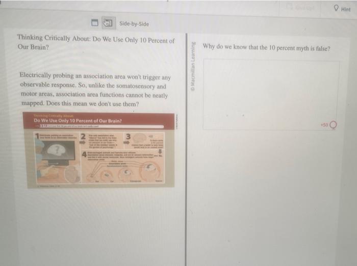 Solved Why do we know that the 10 percent myth is false?