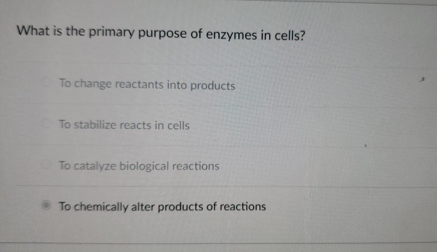 Solved What is the primary purpose of enzymes in cells? To