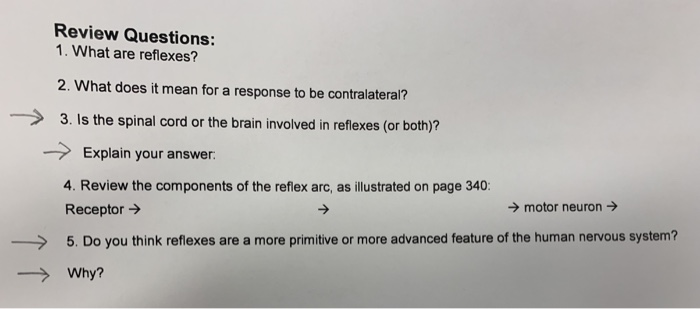 Solved Review Questions 1 What Are Reflexes 2 What Does Chegg Com