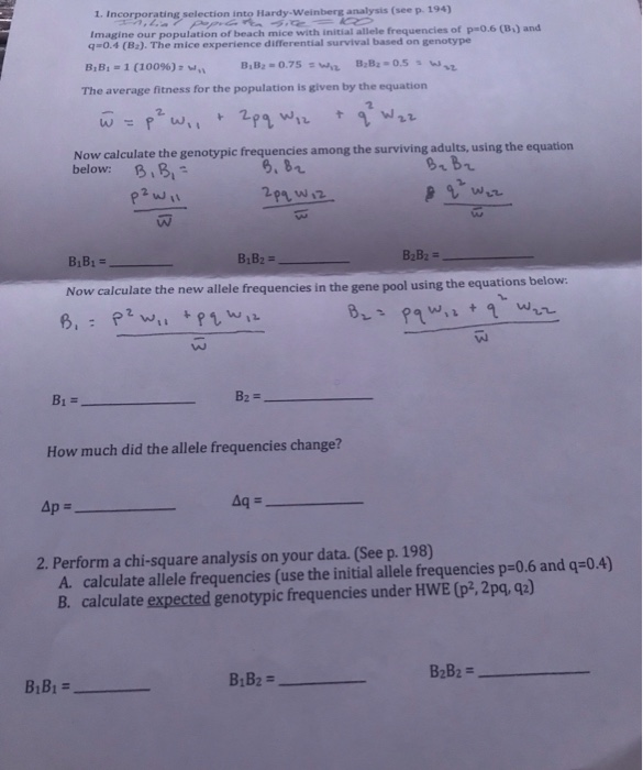 Solved 1 Incorporating Selection Into Hardy Weinberg Ana Chegg Com