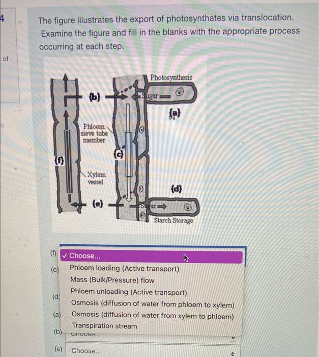 Solved Examine the figure and fill in the blanks with the | Chegg.com