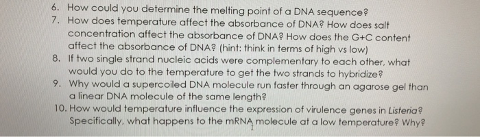 Solved 6. How could you determine the melting point of a DNA | Chegg.com