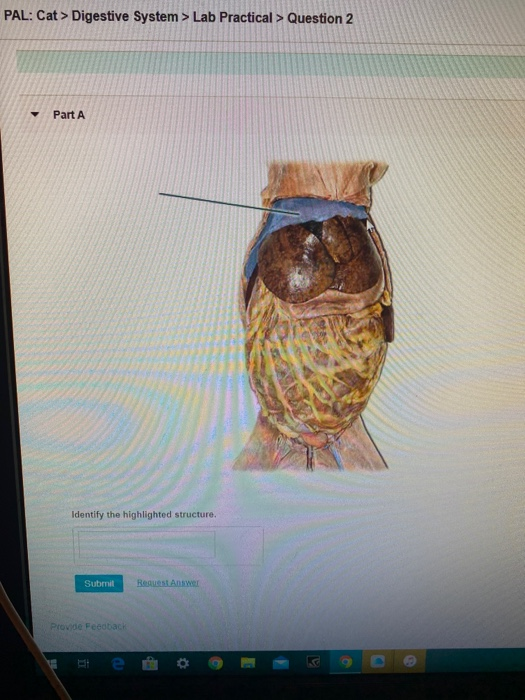 Solved Identify the highlighted structure Subm Resuest