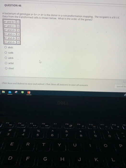 Solved QUESTION 48 In radishes, red and white are the