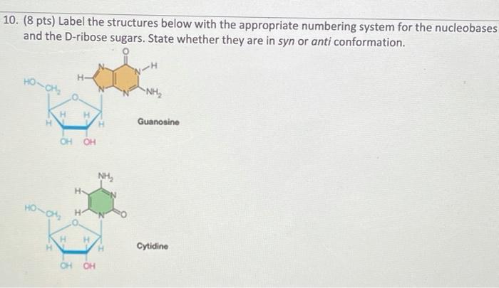 Solved 10. (8 pts) Label the structures below with the | Chegg.com