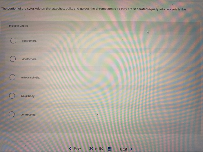 Unicellular organisms worksheet answers image